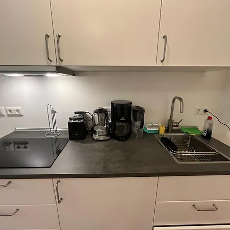 Apartament New Business Nr.15 Drezno